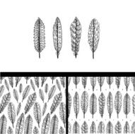 Four doodle textured feathers and two seamless patterns set