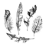 Feather set N10
