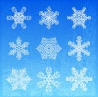 Snowflakes N9