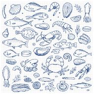 Seafood hand drawn doodle elements N2