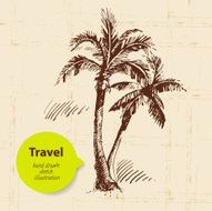 Vintage travel background with palms