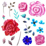 Hand painted floral watercolor set flowers and leaves