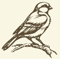 Vector drawing Small titmouse on a branch N9