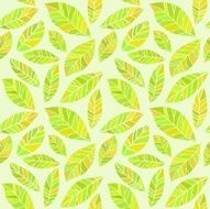 doodle hand drawn florals pattern