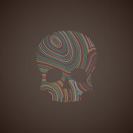 illustration with a multicolored skull