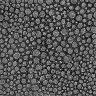 Hand drawn circle pattern N2