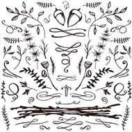 Hand-drawn set of florals and flourishes