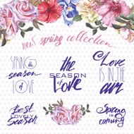 spring labels N3