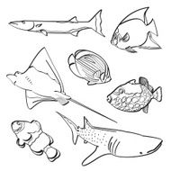 Fishes Collection N3