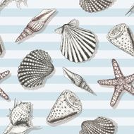 Sea Shell Pattern N2