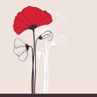 Red poppies