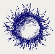 Sun Icon N4