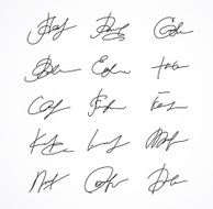 Vector Signature fictitious Autograph