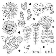 Set of floral elements isolated for your design