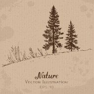 Nature FirTree