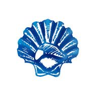 Scallop sketch Sea food