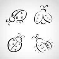 Sketch icons - ladybug N2