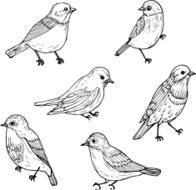 set of linear drawing birds N2