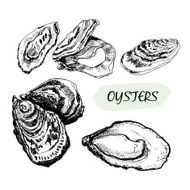 oysters N4