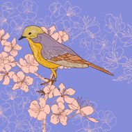 vintage card with cherry blossoms and bird