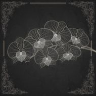 Stylized Drawing With Chalk On Blackboard N18