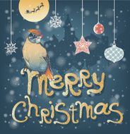Christmas bird in the night winter city N3