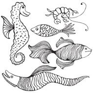 Fish COllection