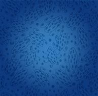 Ethnic blue seamless pattern Background stylish texture