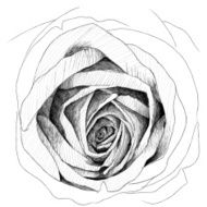 Rose sketchbook N4