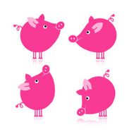 Cute piggy for your design N14