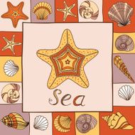 Banner with shells