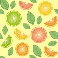 abstract citrus fruits