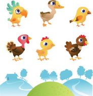 Set of different birds