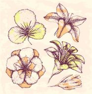 Flowers set N4