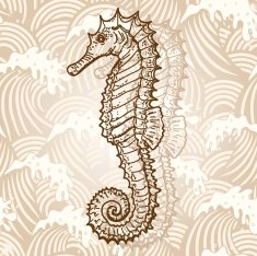 seahorse N2