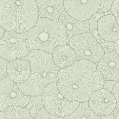 Floating Lotus Leaf