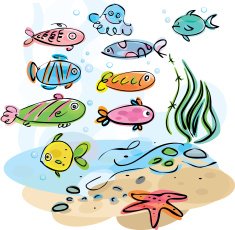 Colorful fishes underwater