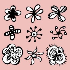 vector flower set N5
