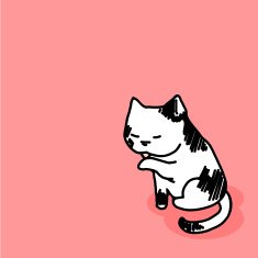 Cat N27