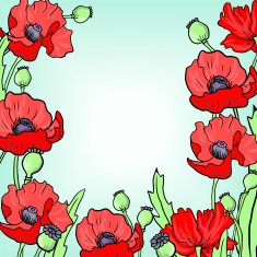 floral frame with poppy flowers