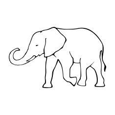 Vector outline elephant illustrarion