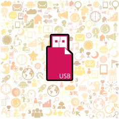 Usb Stick icon vector