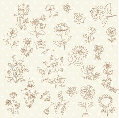 Set of hand drawn flowers N3