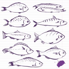 Ink drawing fishes N4
