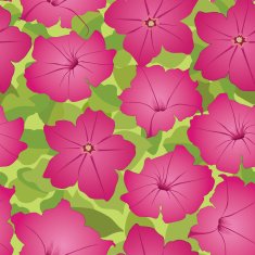 Floral seamless pattern of petunia - Illustration N6