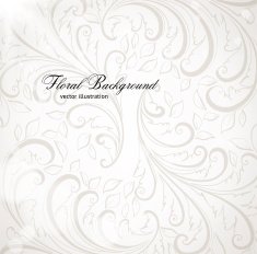 Floral Ornament Background for Vector Design N23