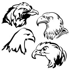 eagle vector doodle set
