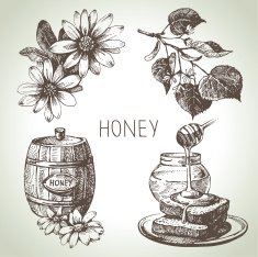 Sketch honey set N2