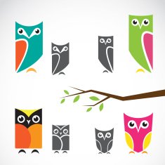 Vector group of owls and branch N2