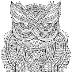 Decorative ornamental Owl background N3